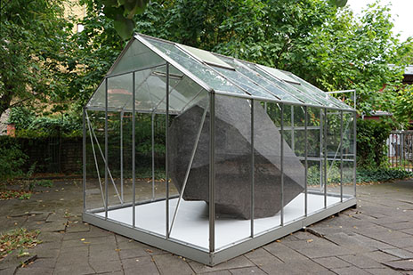 Wurf_1_AnnaBorgman
